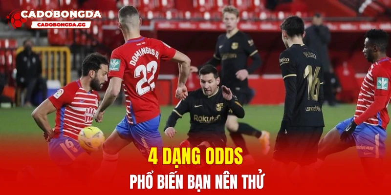4 dạng odds phổ biến bạn nên thử