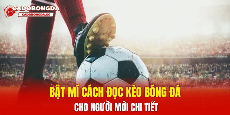Bật mí cách đọc kèo bóng đá cho người mới chi tiết