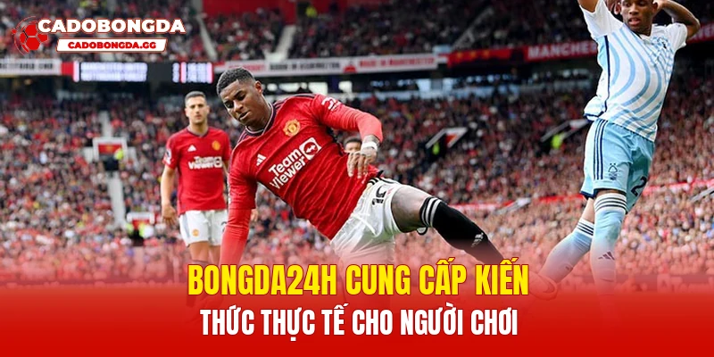 Bongda24h cung cấp kiến thức thực tế cho người chơi