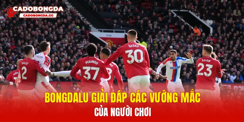 Bongdalu giải đáp các vướng mắc của người chơi
