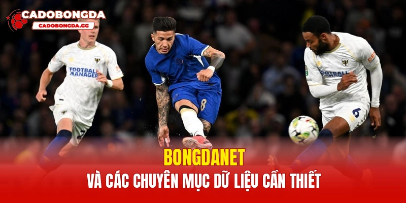 Bongdanet và các chuyên mục dữ liệu cần thiết