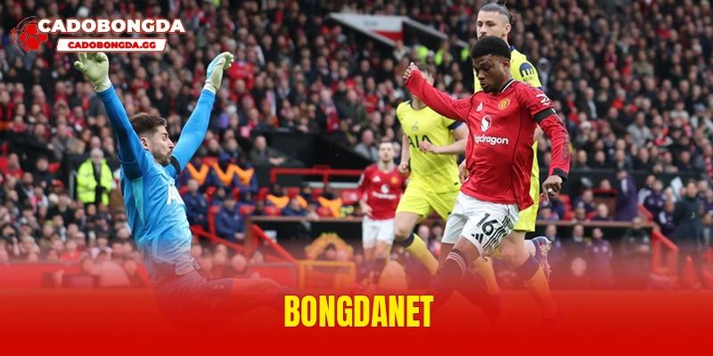 bongdanet
