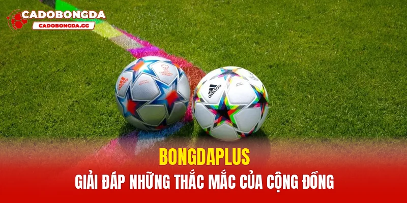 Bongdaplus giải đáp những thắc mắc của cộng đồng