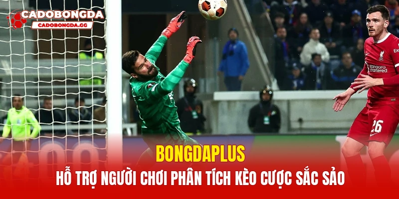 Bongdaplus hỗ trợ người chơi phân tích kèo cược sắc sảo
