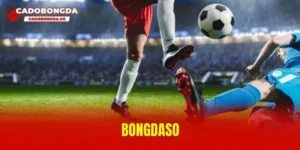 bongdaso