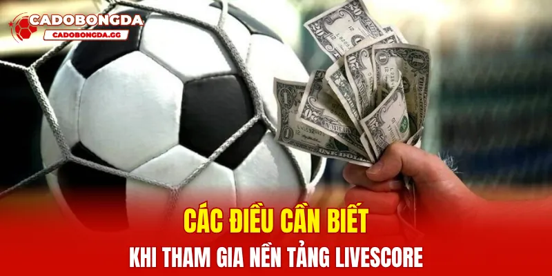 Các điều cần biết khi tham gia nền tảng Livescore