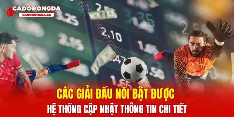 Các giải đấu nổi bật được hệ thống cập nhật thông tin chi tiết
