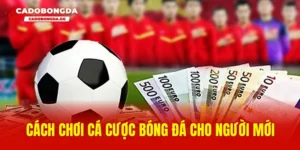 Cách chơi cá cược bóng đá cho người mới