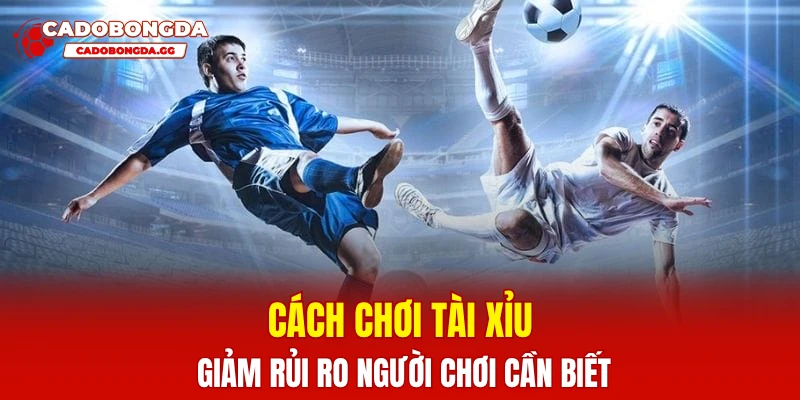 Cách chơi tài xỉu giảm rủi ro người chơi cần biết