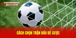 Cách chọn trận đấu để cược