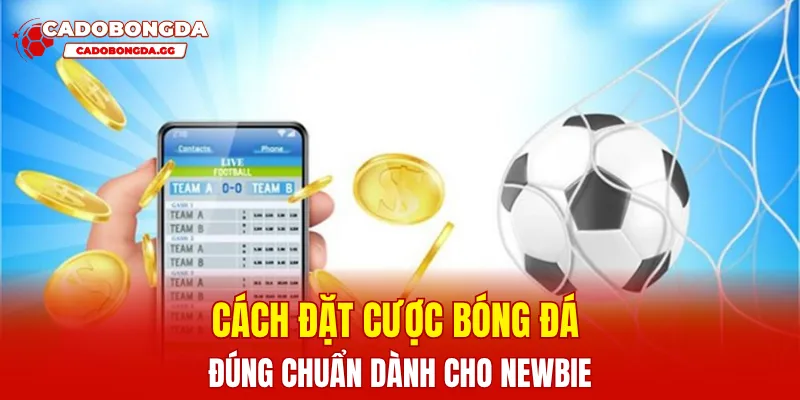 Cách đặt cược bóng đá đúng chuẩn dành cho newbie