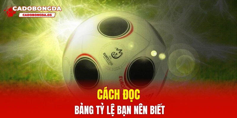 Cách đọc bảng tỷ lệ bạn nên biết