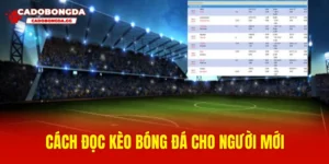 Cách đọc kèo bóng đá cho người mới