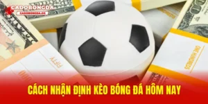 Cách nhận định kèo bóng đá hôm nay