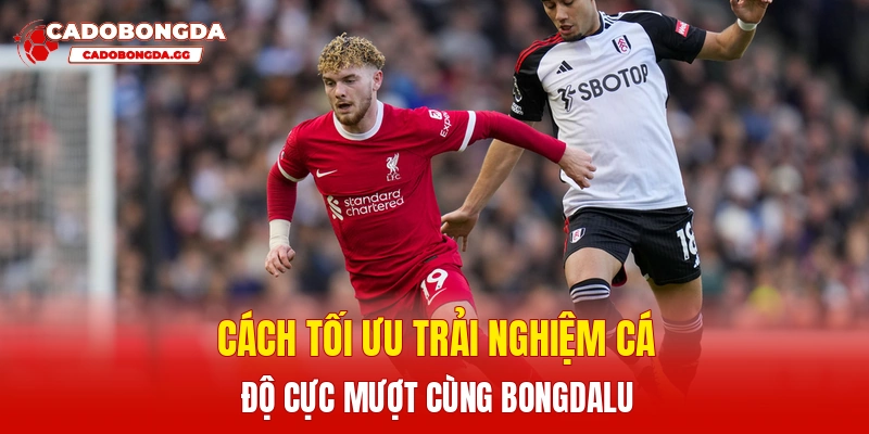 Cách tối ưu trải nghiệm cá độ cực mượt cùng Bongdalu