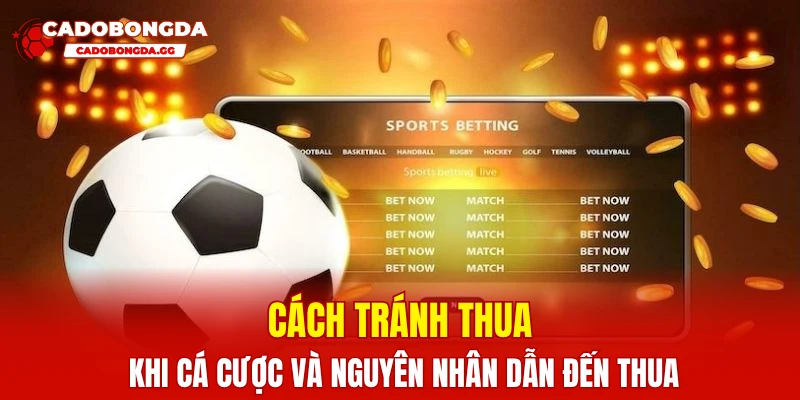 Cách tránh thua khi cá cược và nguyên nhân dẫn đến thua