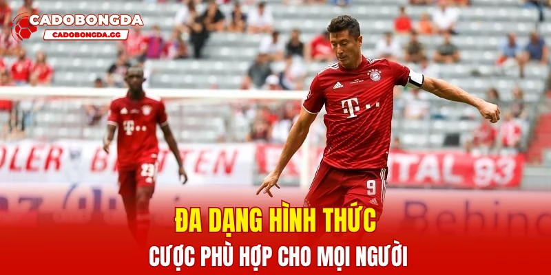 Đa dạng hình thức cược phù hợp cho mọi người
