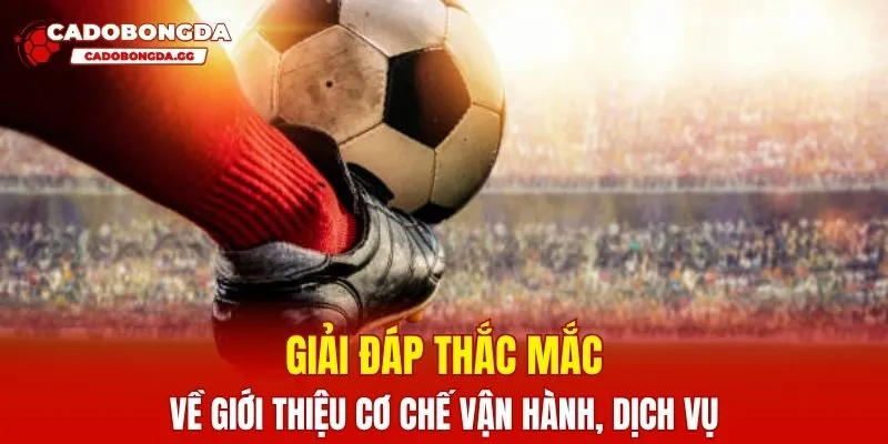 Giải đáp thắc mắc về giới thiệu cơ chế vận hành, dịch vụ