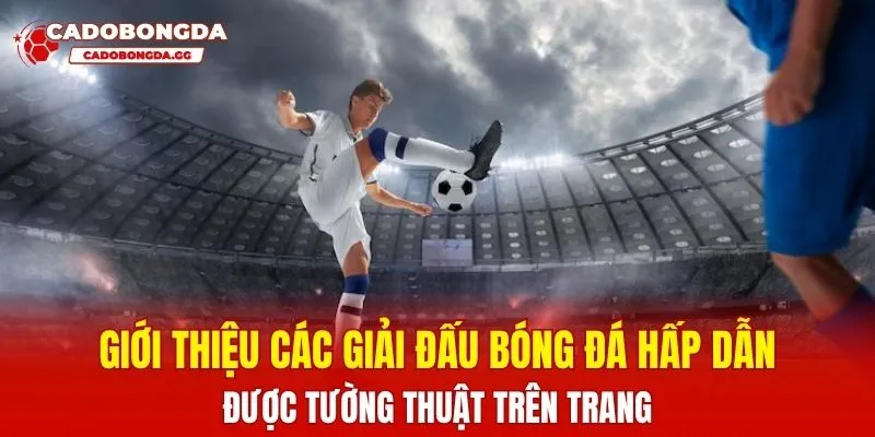 Giới thiệu các giải đấu bóng đá hấp dẫn được tường thuật trên trang