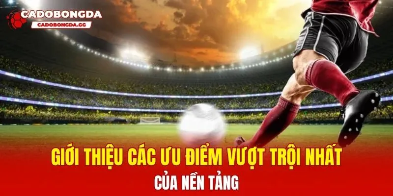 Giới thiệu các ưu điểm vượt trội nhất của nền tảng