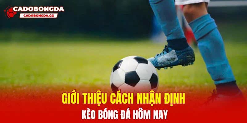 Giới thiệu cách nhận định kèo bóng đá hôm nay