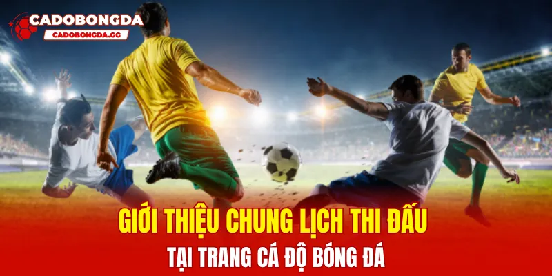 Giới thiệu chung lịch thi đấu tại trang cá độ bóng đá