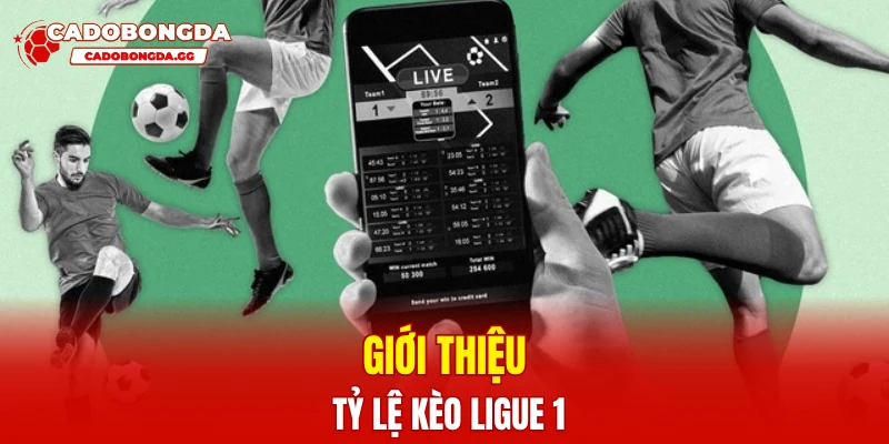 Giới thiệu tỷ lệ kèo Ligue 1