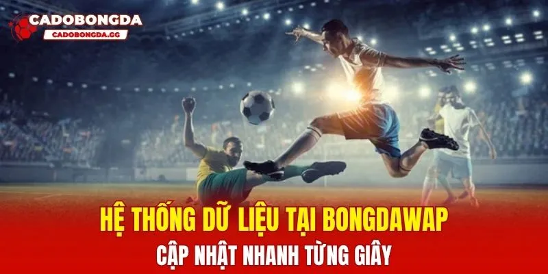 Hệ thống dữ liệu tại Bongdawap cập nhật nhanh từng giây