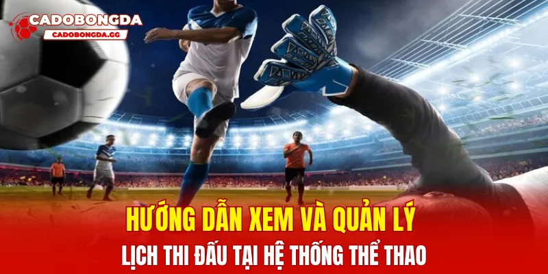Hướng dẫn xem và quản lý lịch thi đấu tại hệ thống thể thao