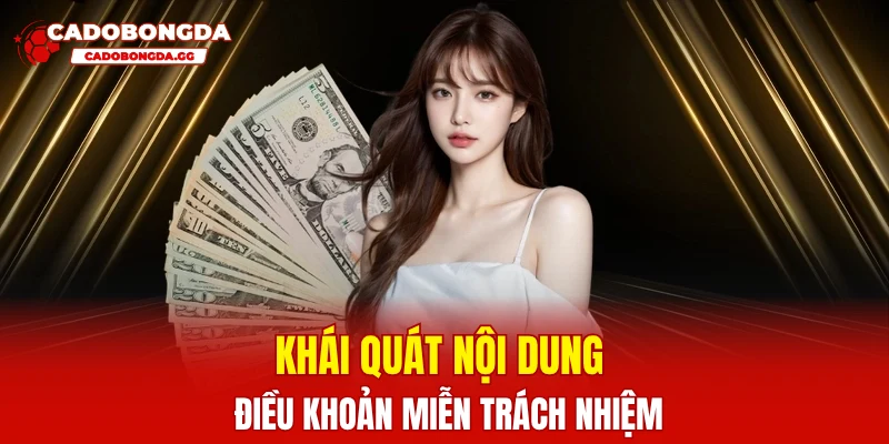 Khái quát nội dung điều khoản miễn trách nhiệm