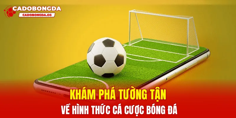 Tìm hiểu chi tiết về hình thức giải trí cá độ bóng đá