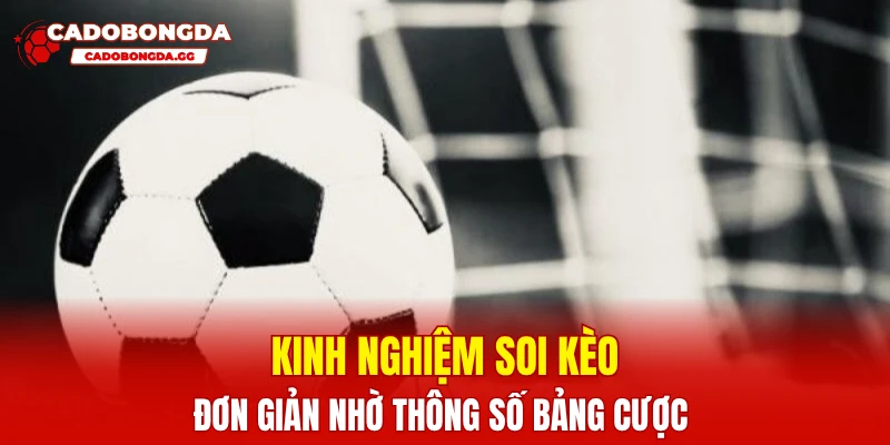 Kinh nghiệm soi kèo đơn giản nhờ thông số bảng cược