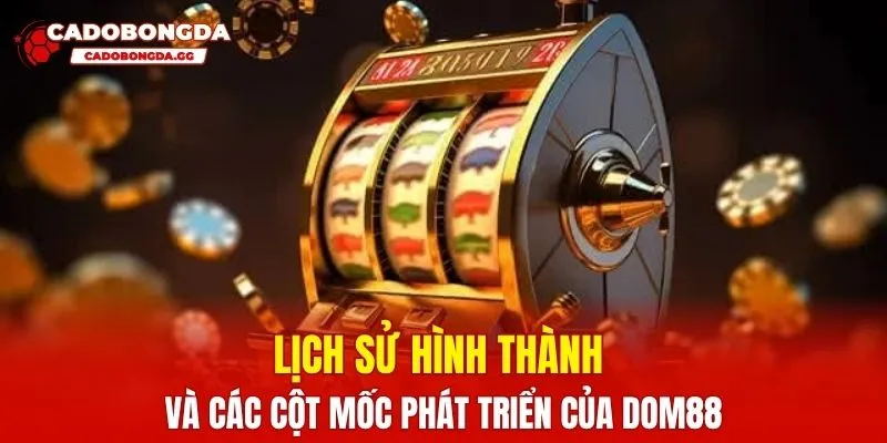 Lịch sử hình thành và các cột mốc phát triển của DOM88