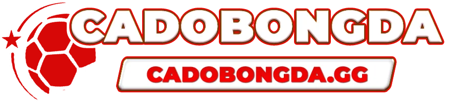 cá độ bóng đá