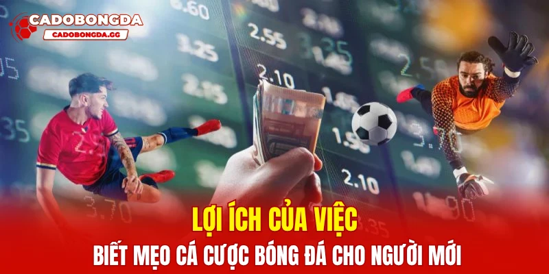 Lợi ích của việc biết mẹo cá cược bóng đá cho người mới