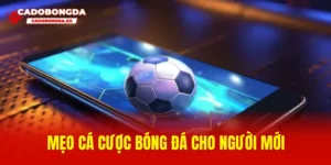Mẹo cá cược bóng đá cho người mới