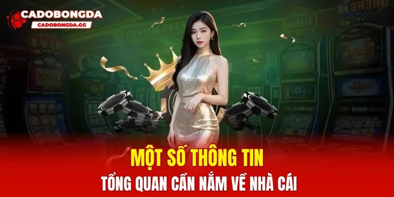 Một số thông tin tổng quan cần nắm về nhà cái