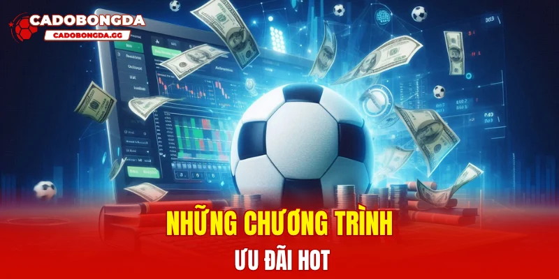 Những chương trình ưu đãi hot