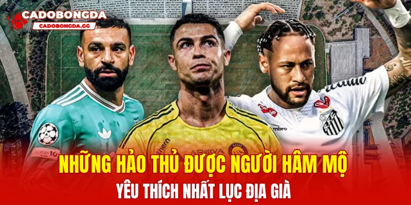 Những hảo thủ được người hâm mộ yêu thích nhất lục địa già 