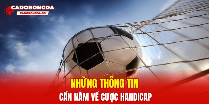 Những thông tin cần nắm về cược Handicap