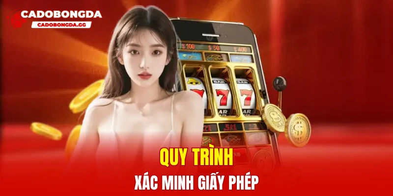 Quy trình xác minh giấy phép