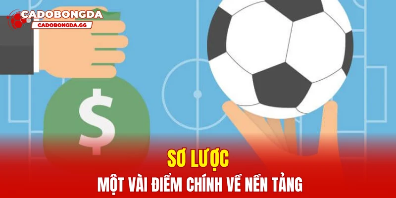 Sơ lược một vài điểm chính về nền tảng