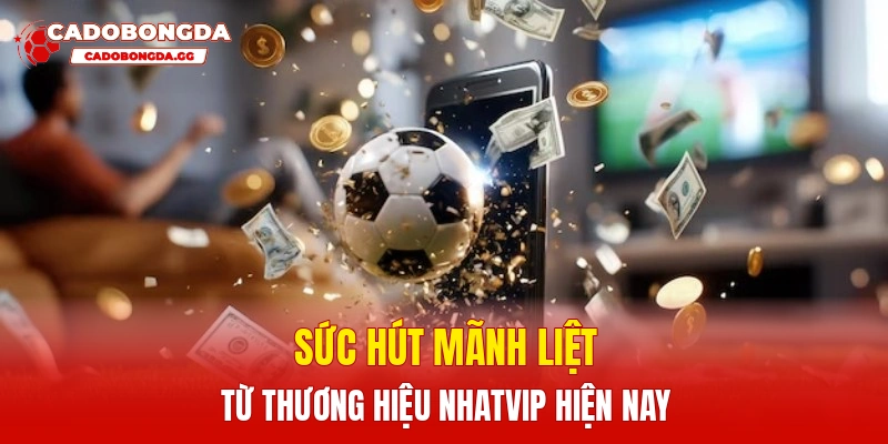 Sức hút mãnh liệt từ thương hiệu Nhatvip hiện nay