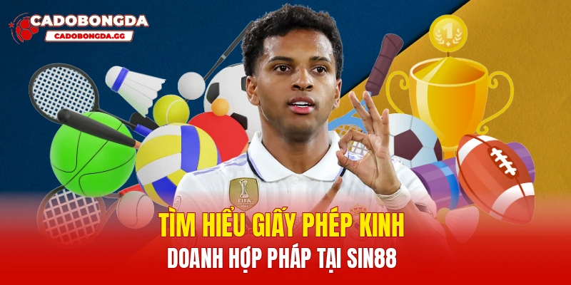 Tìm hiểu giấy phép kinh doanh hợp pháp tại SIN88