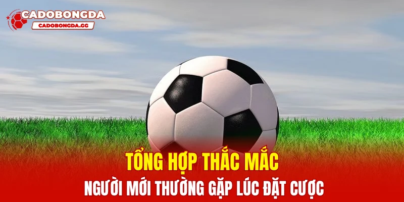 Tổng hợp thắc mắc người mới thường gặp lúc đặt cược