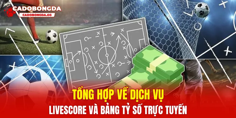 Tổng hợp về dịch vụ Livescore và bảng tỷ số trực tuyến