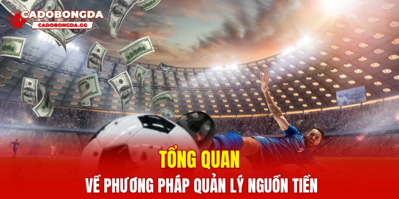 Tổng quan về phương pháp quản lý nguồn tiền