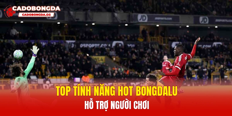Top tính năng hot Bongdalu hỗ trợ người chơi