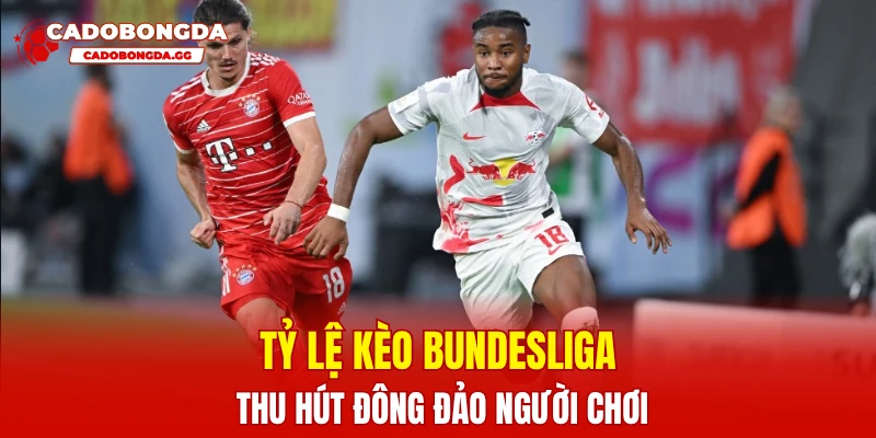 Tỷ lệ kèo Bundesliga thu hút đông đảo người chơi