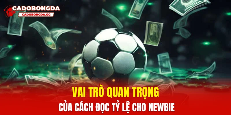 Vai trò quan trọng của cách đọc tỷ lệ  cho newbie